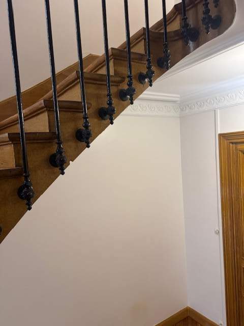 IMG 2595
