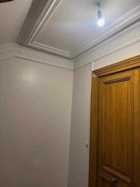 IMG 2613